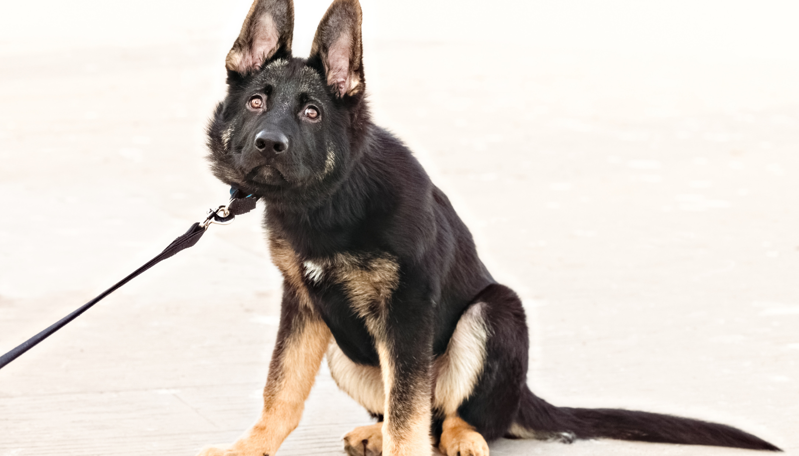 Tips for When a Stubborn Seller Won't Budge Elite Informer